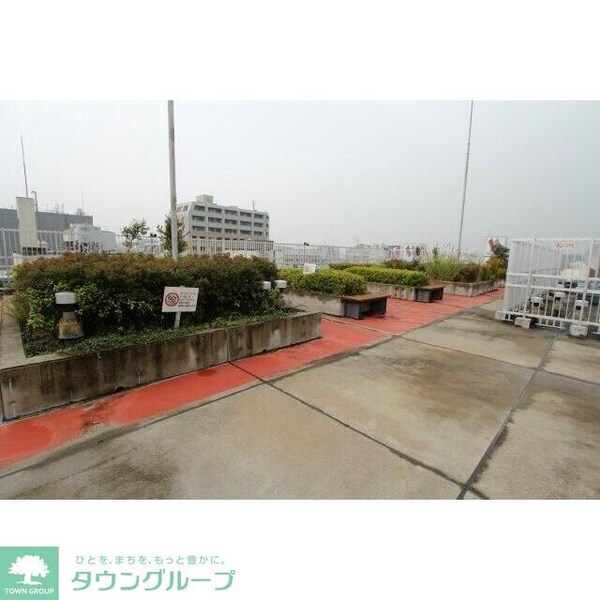 庭