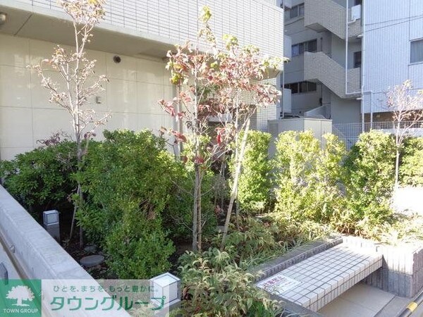 庭(植栽)