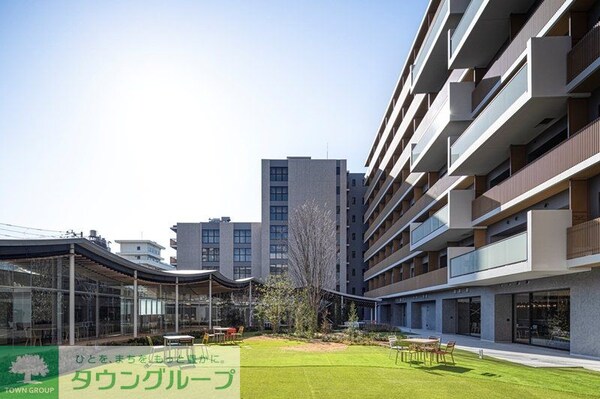庭