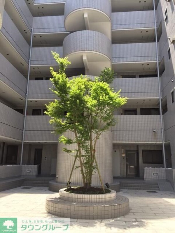 庭