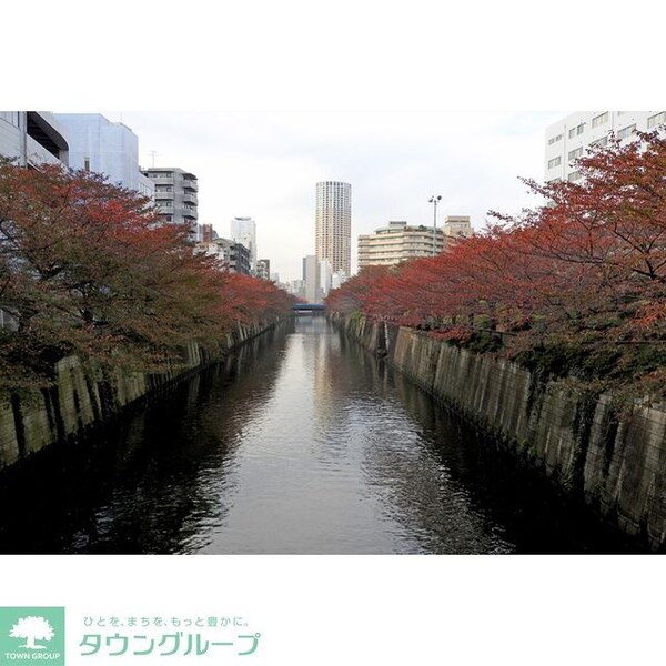 その他(周辺環境)