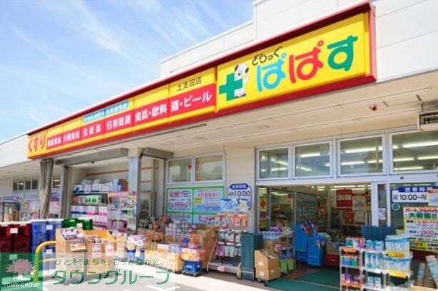 どらっぐぱぱす