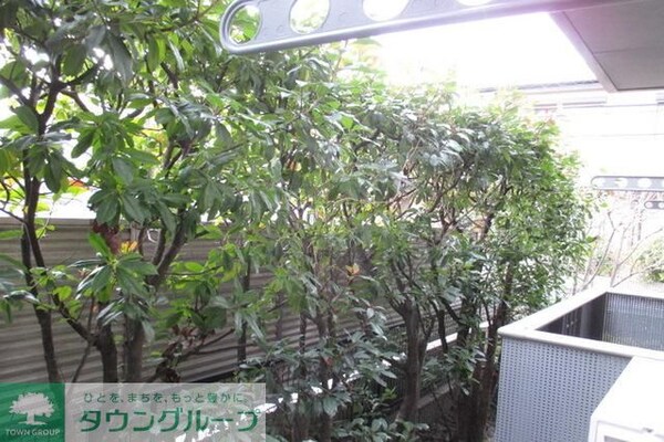 眺望(日差しが入るお部屋です)