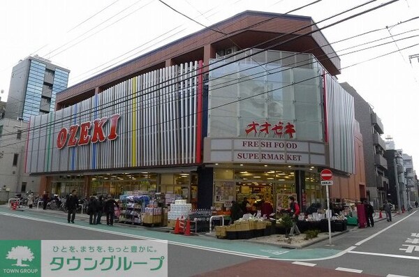 その他(スーパーオオゼキ菊川店（309m）)