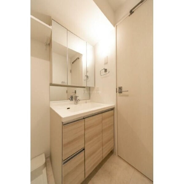 洗面(※別号室参考写真)