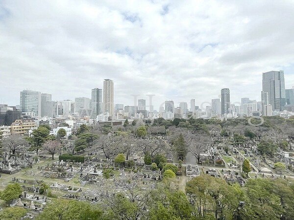 眺望(お問合せは(株)タウンハウジングレジデンス事業部【03-…)