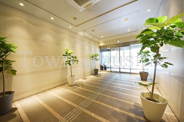 エントランス(お問合せは(株)タウンハウジングレジデンス事業部　赤坂店・…)