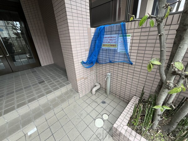 庭(庭)