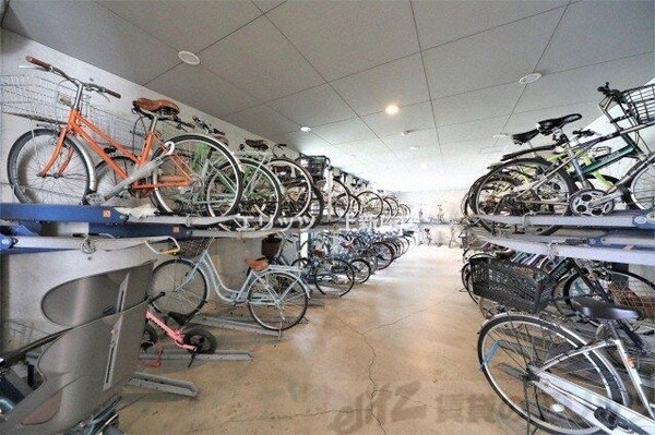 共有部分(駐車場)