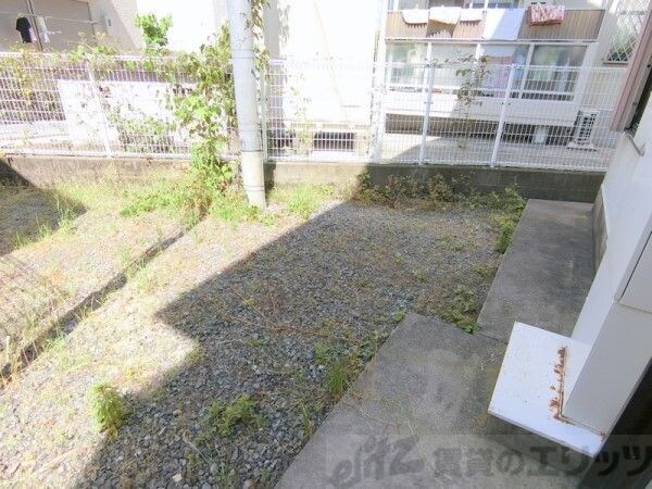 庭(庭)