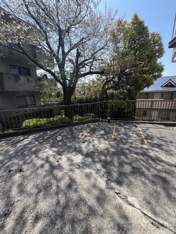庭(庭)
