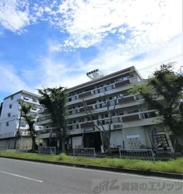 外観(外観)