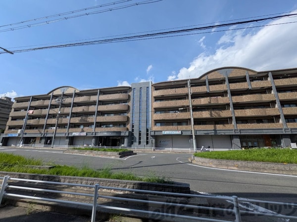 外観(眺望)