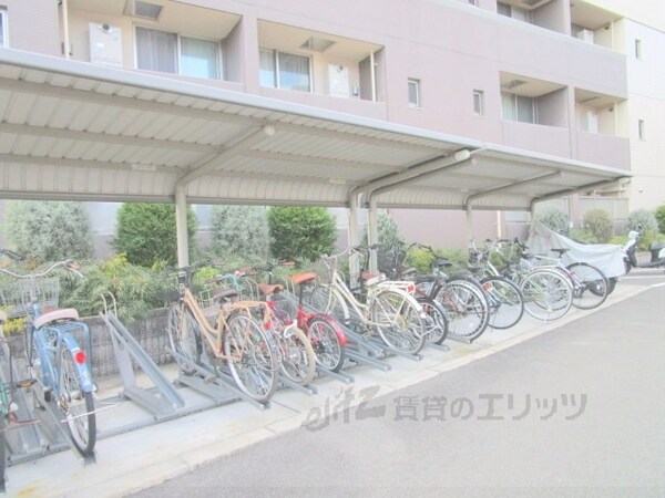 駐車場(駐車場)