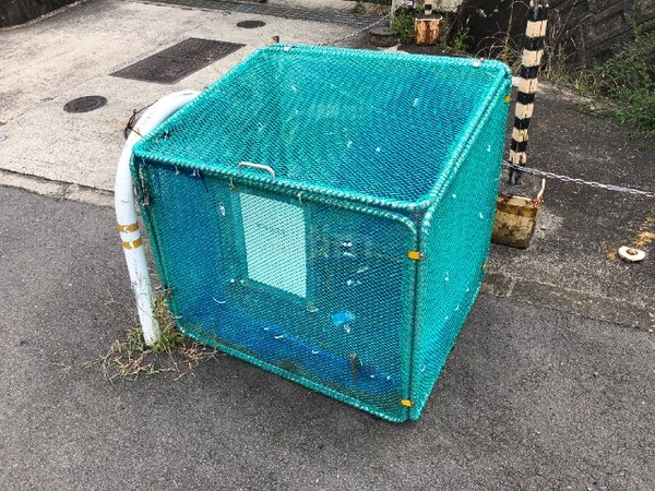 共有部分