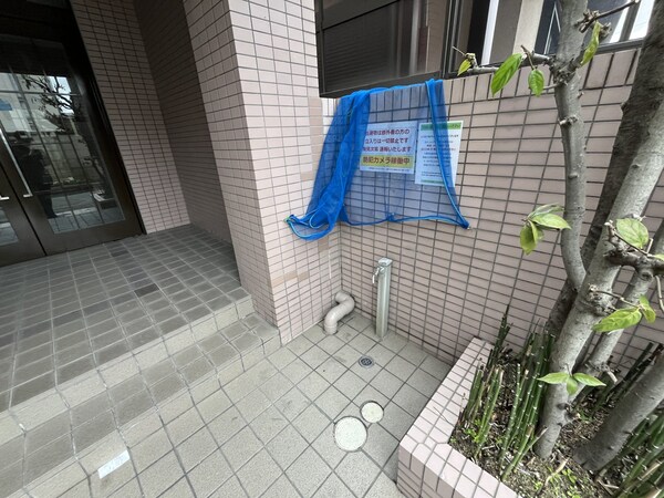庭(庭)