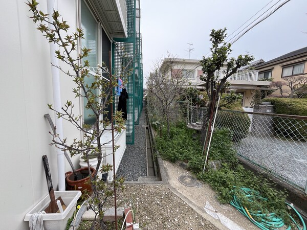 庭(庭)