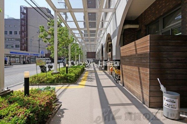 その他(前面道路)