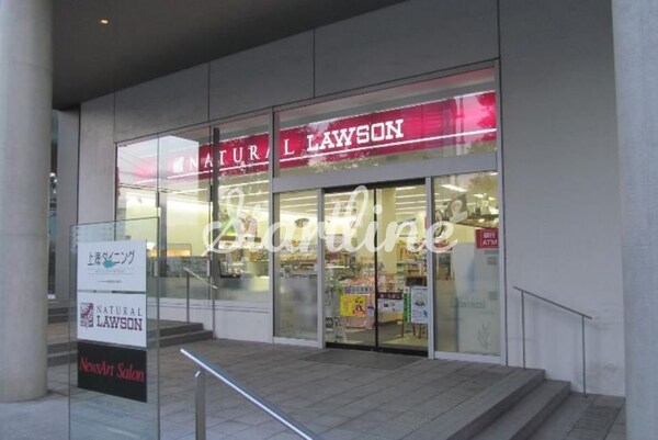 その他(ナチュラルローソン佃二丁目店[215m])