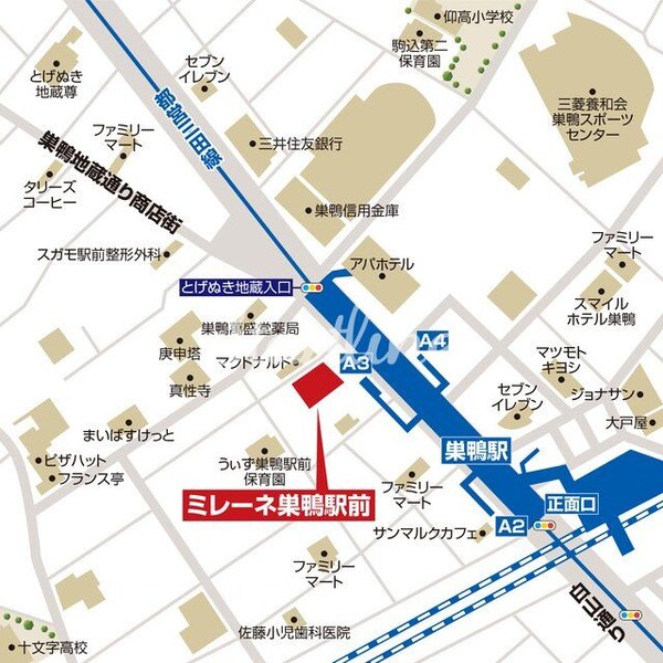 地図