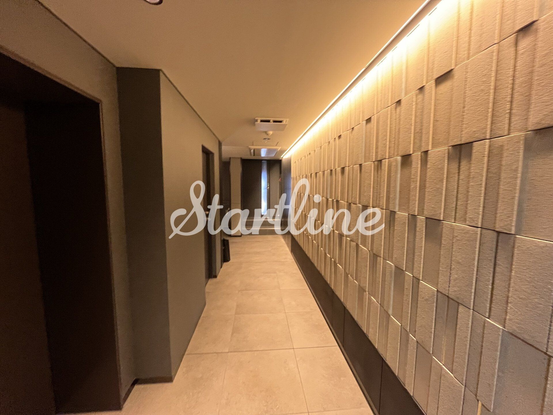 物件内観写真14　(エントランス)