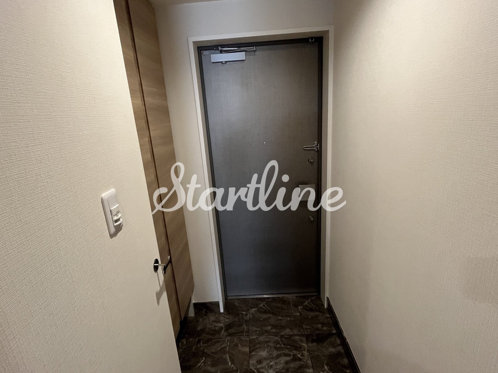 物件内観写真11　(玄関)