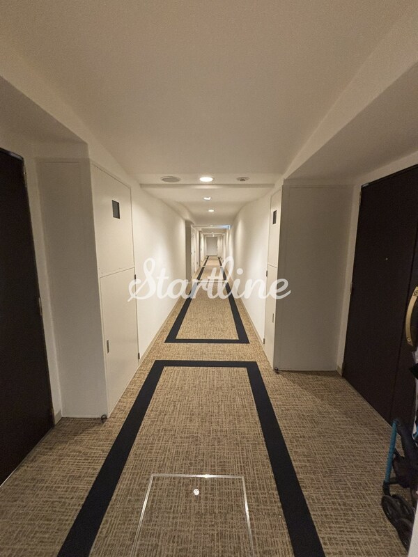 共有部分(エントランス)