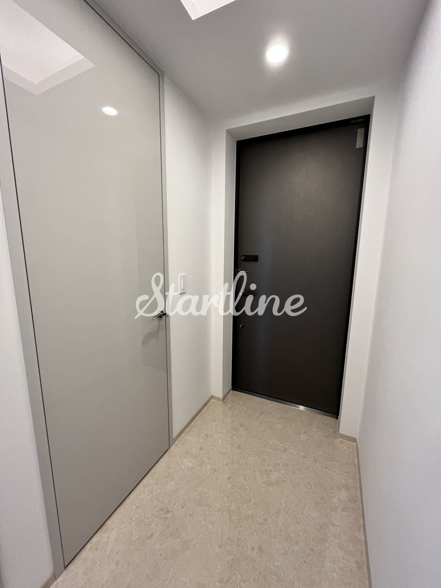 物件内観写真6　(玄関)