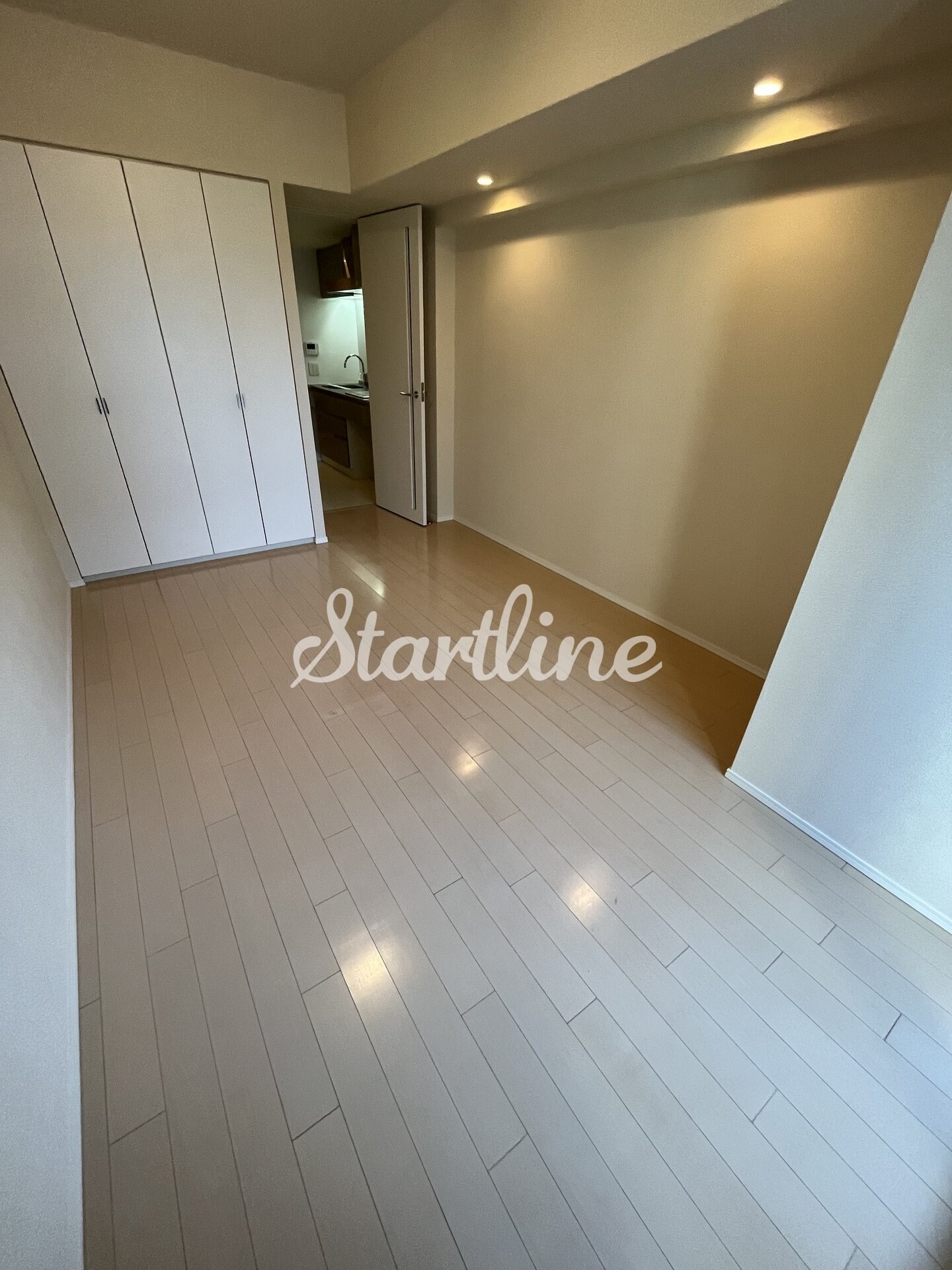 物件内観写真4　(エントランス)