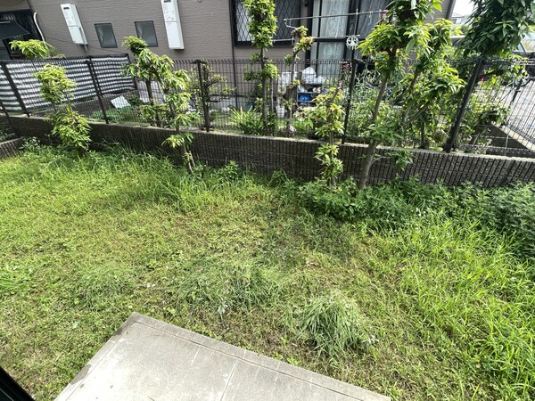 庭