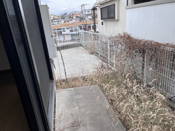 庭