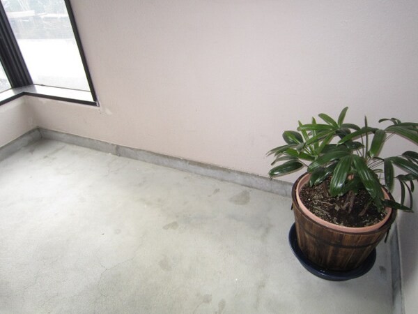 共用部