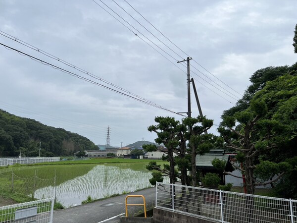 眺望