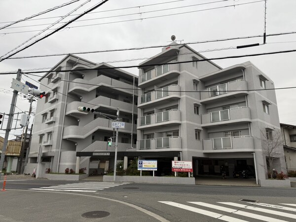 外観(外観)