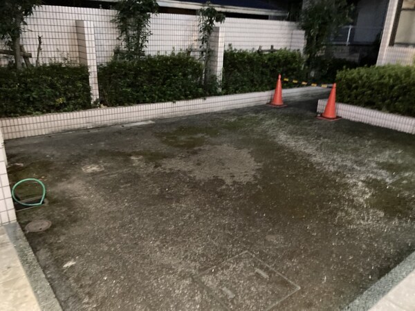 庭