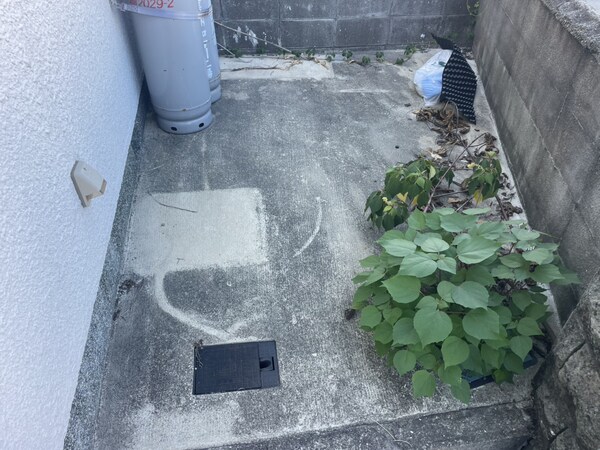 庭