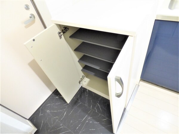 玄関(シューズボックス付)