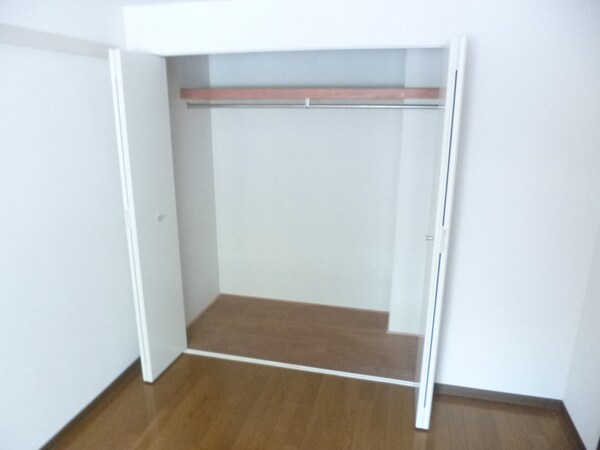 収納(大型クローゼット)