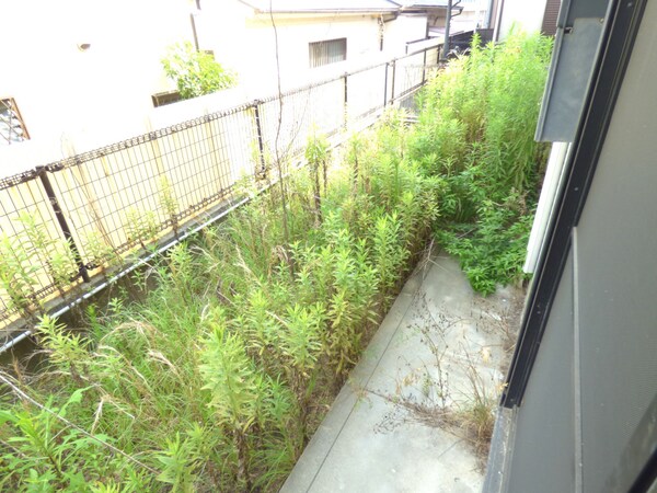 庭(専用庭付)