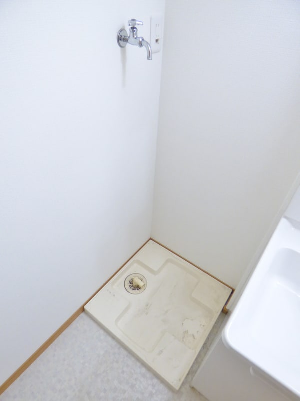 洗面所(室内洗濯機置場)