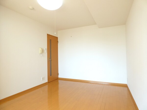 居室(広々とした洋室)