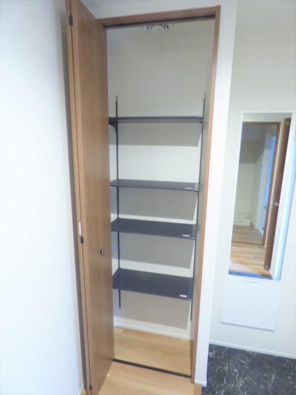 玄関(トールタイプのシューズボックス付)