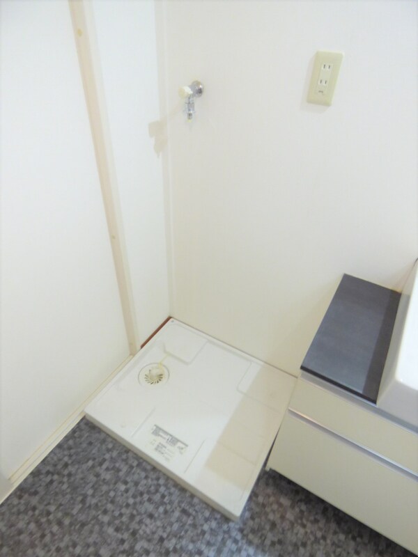 洗面所(室内洗濯機置場)