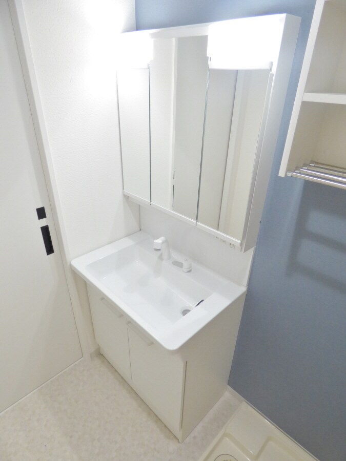 物件内観写真8　(シャンプードレッサー)