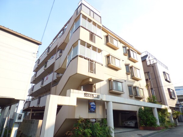 外観(重厚感のあるキレイなマンション)