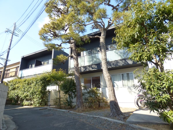 外観(オシャレな築浅マンション)