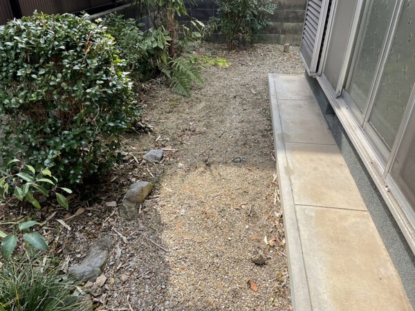 庭