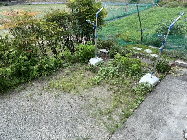 庭