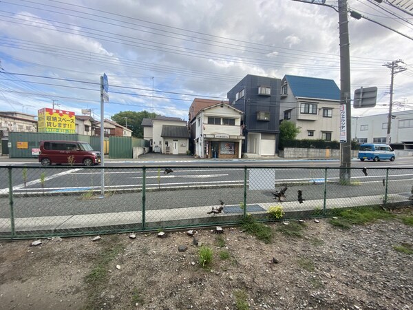 眺望