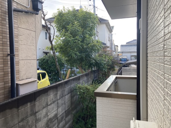 眺望
